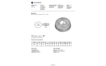 Disc anode for Stern 140*35mm - 00131al - 00131AL